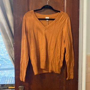 Long sleeve/thin sweater.